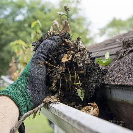A gloved hand pulling a clump of wet leaves and debris out of a clogged gutter.