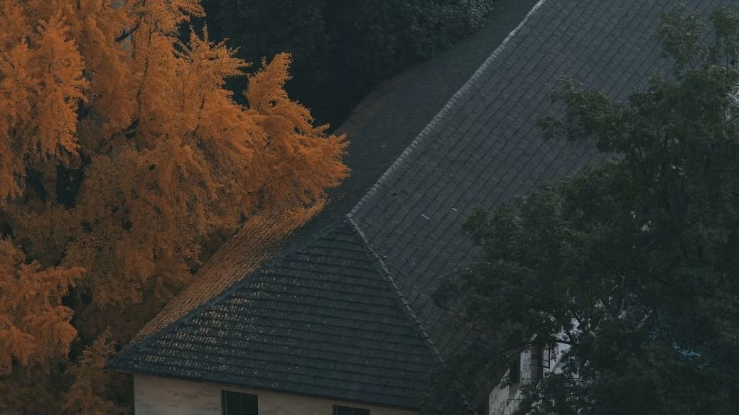 A gray shingled roof between an orange fall tree and a green one.