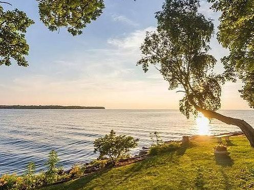 A large lake at low sun, seen past a leaning tree on a mown grass bank, with the sun flaring through its branches.