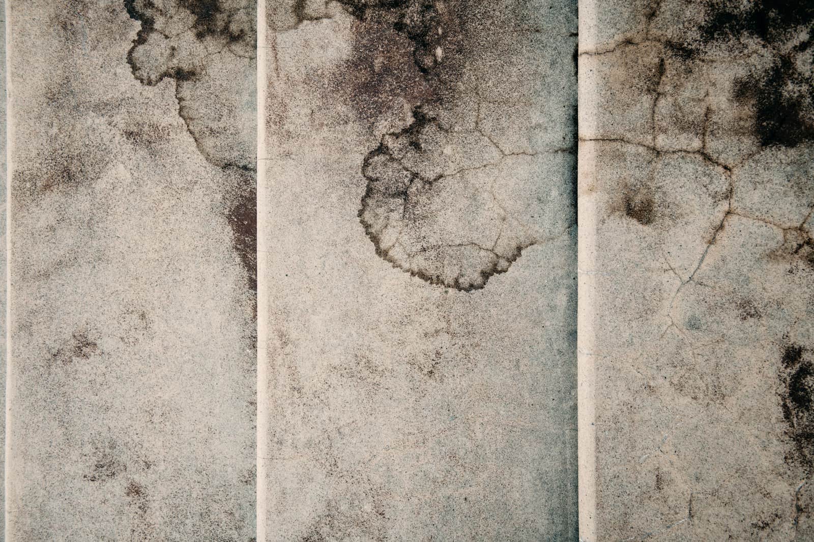 Dark mildew stains and grime spreading across a concrete surface.