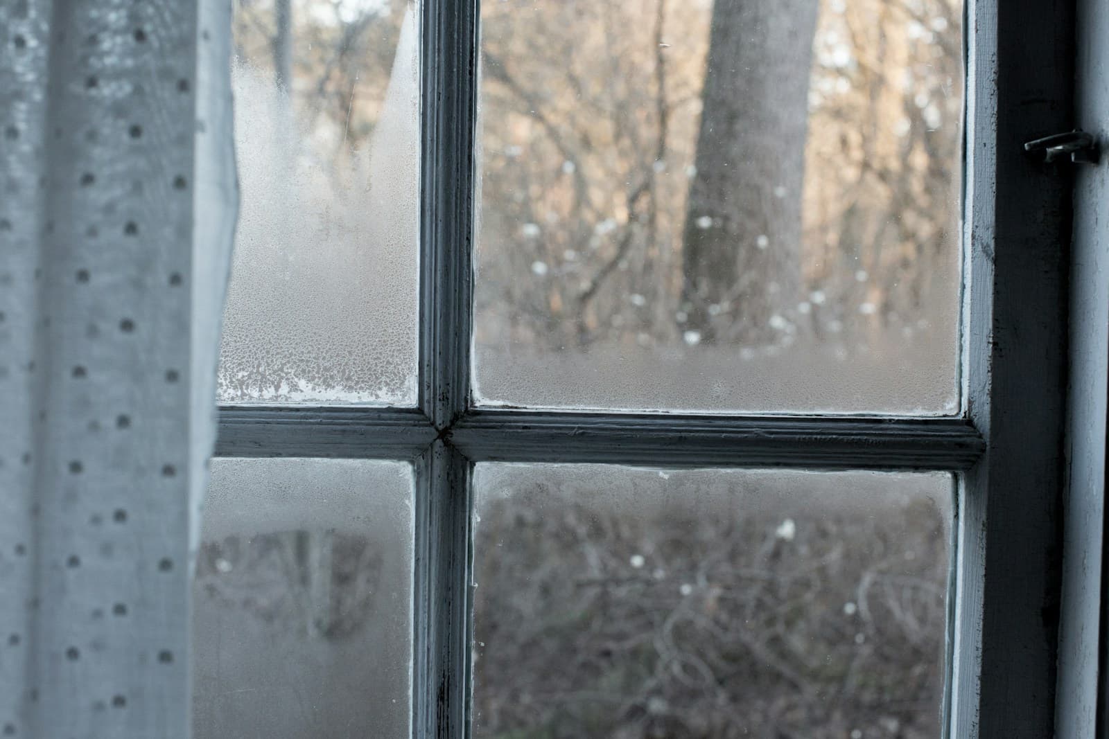 A cloudy, water-spotted window in a dark frame, bare trees blurred beyond it.