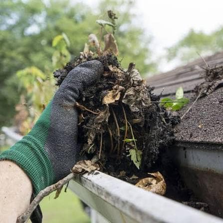 A gloved hand pulling a clump of wet leaves and debris out of a roof gutter.