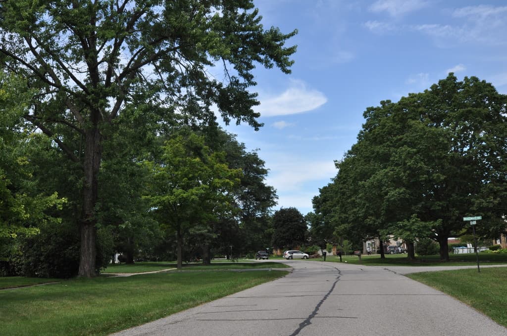 A quiet tree-lined street in the Lathrup Village historic district, Michigan.