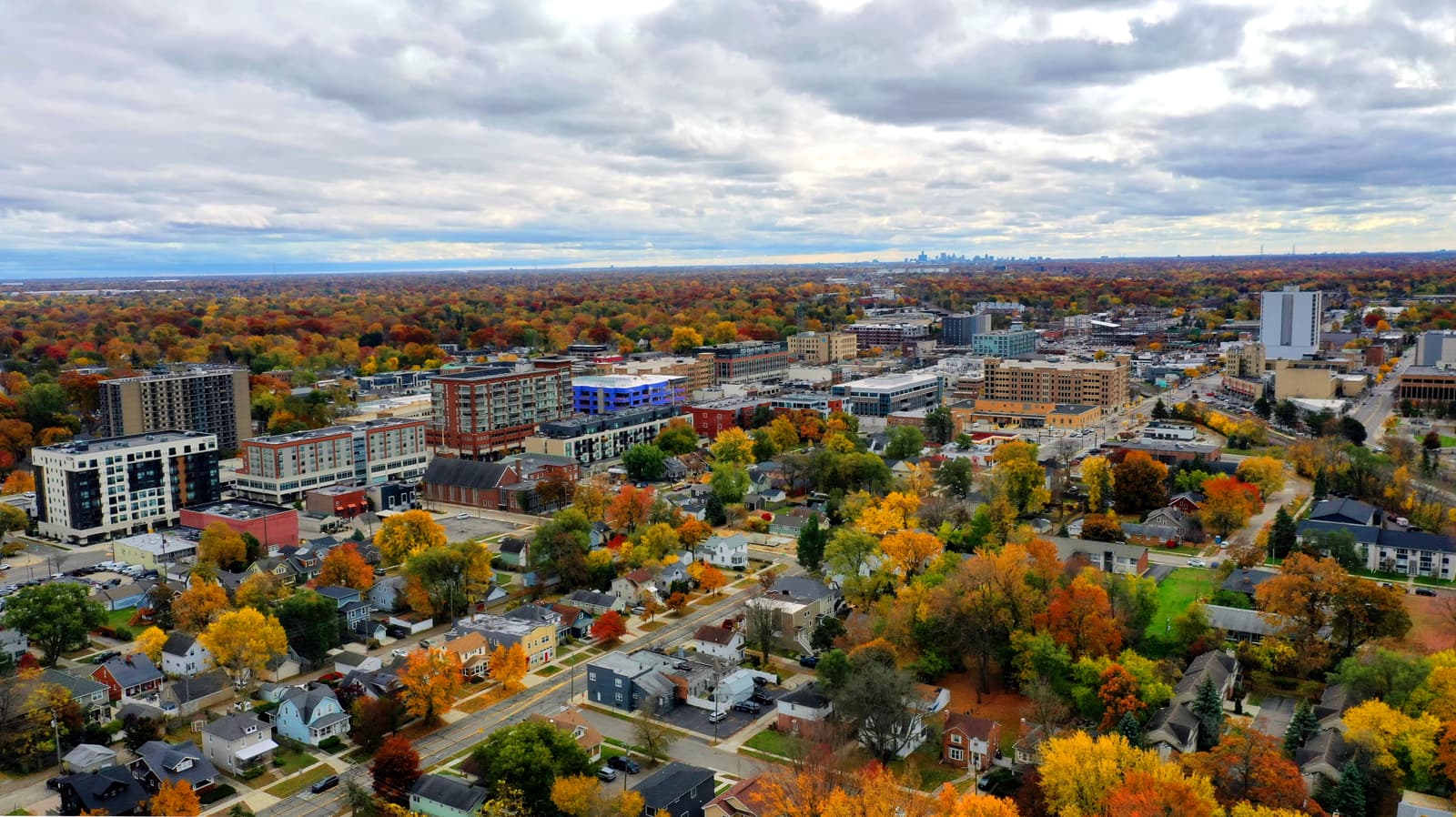 An aerial view of Royal Oak, Michigan, in autumn, downtown rising over tree-covered neighborhoods.